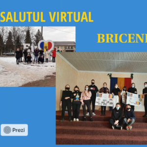 Proiectul „Educație online”