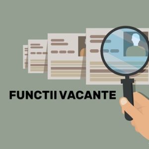 Instituția Publică Liceul Teoretic nr.1 din or. Briceni anunță concurs la funcția de director adjunct educație